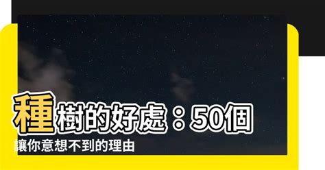 樹木的好處|50 個種樹帶來的好處： 減少溫室效應、對環境與人更好